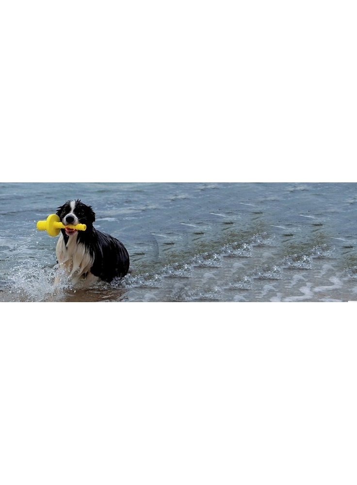 Giochi per cani galleggianti